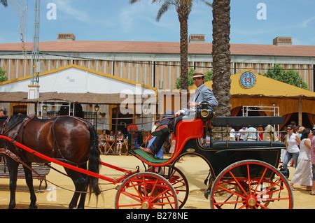 Sinvello Jerez Jerez de la Frontera